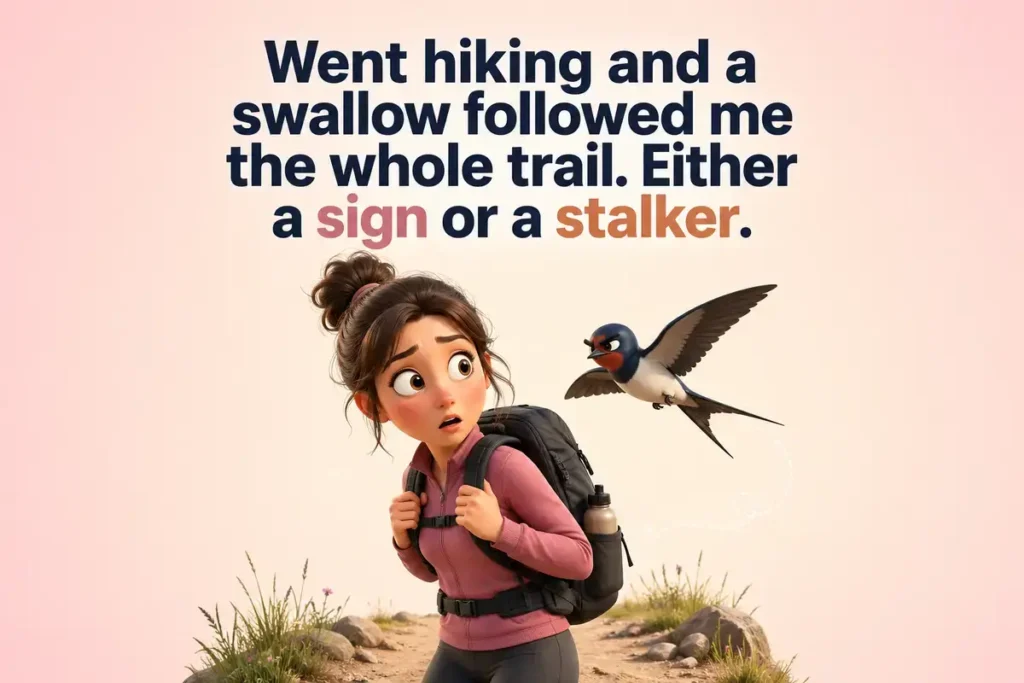 Swallow Puns Inspired by Old Sayings